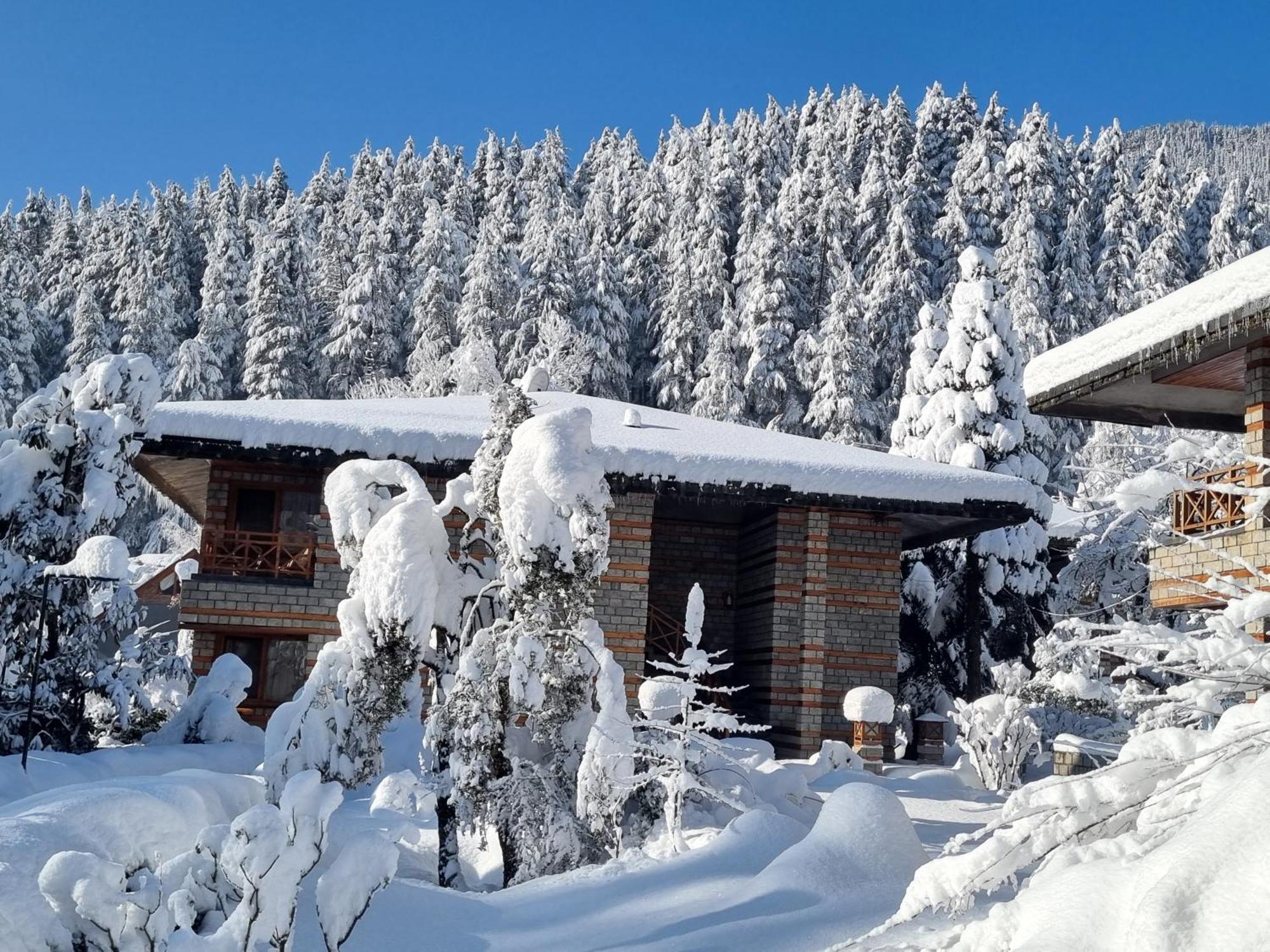 Banon Resorts Манали Экстерьер фото