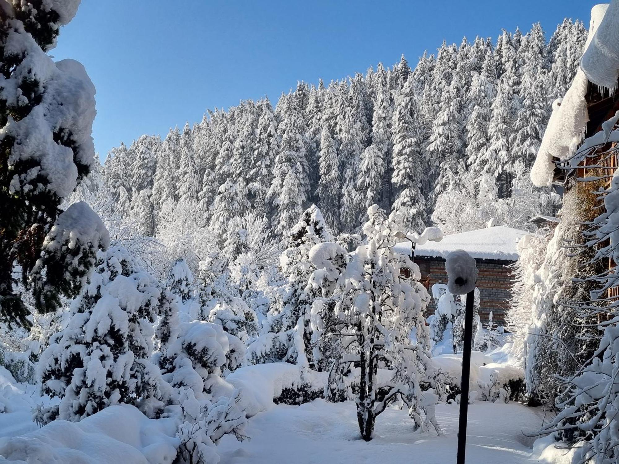 Banon Resorts Манали Экстерьер фото